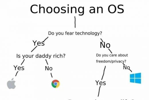 Choosing OS